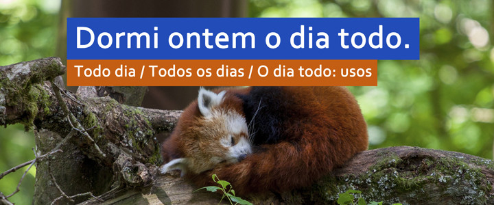 Todo dia / Todos os dias / O dia todo: usos